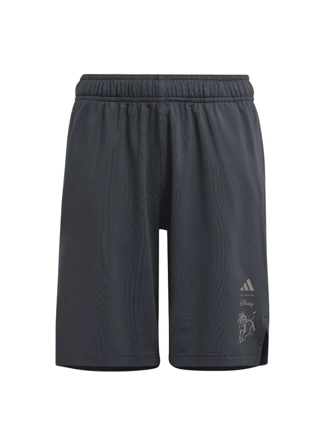 Adidas adidas B Dy Lk Sho Grey Training Shorts 5-6Y