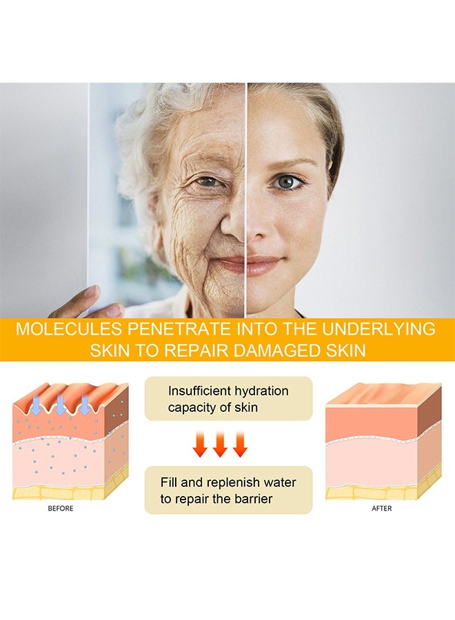 EELHOE One Ginseng Per Bottle, Ginseng Polypeptide Anti-Wrinkle Essence, Ginseng Anti Ageing Serum for Women - Image 3