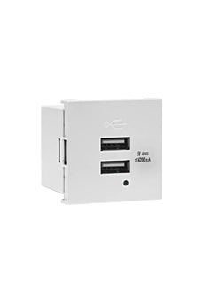 Elitco Elitco - Dual Port USB Type A Charger 4.2A 5VDC 100-240V/AC with LED Indicator, Screw Terminal White Color 