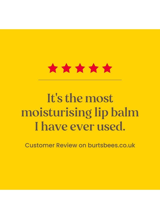 Burt'S Bees Gift Set, 5 Essential Prodcuts, Deep Cleansing Cream, Hand Salve, Body Lotion, Foot Cream & Lip Balm, Travel Size - Image 5