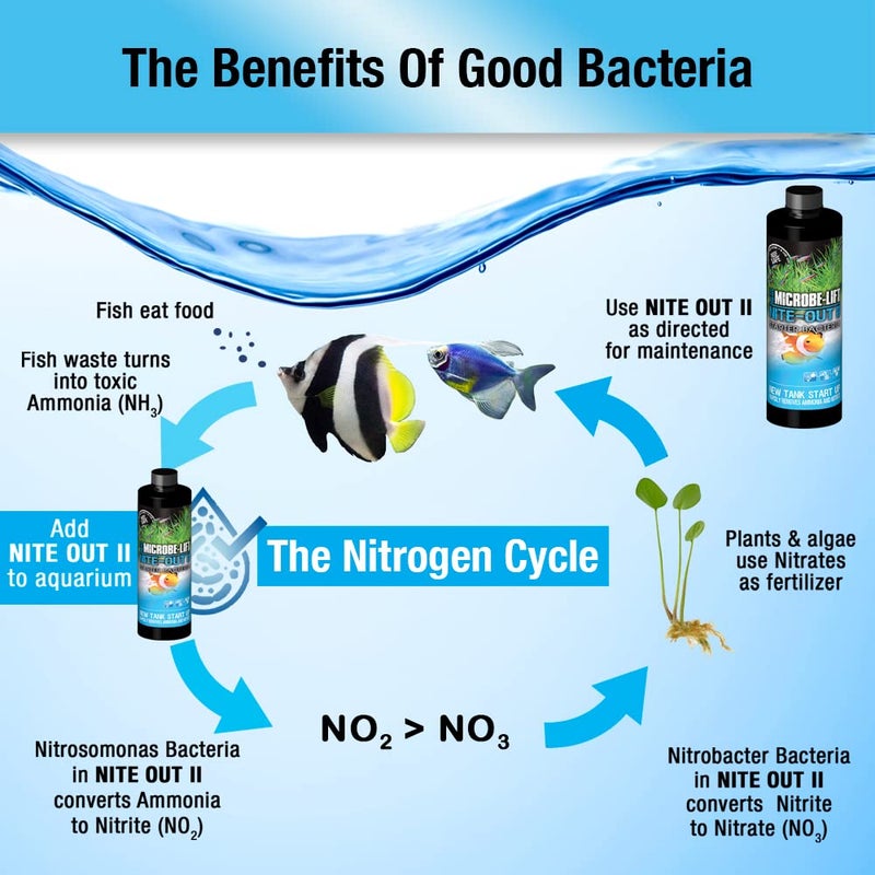 Microbe Lift MICROBE-LIFT Nite-Out II Aquarium Bacteria for Start-up, Instantly Cycle Aquariums, Add Fish on Day 1, Rapid Ammonia and Nitrite Reducer for Freshwater & Saltwater Fish Tank, 16 Ounces (NITEH16) - Image 5