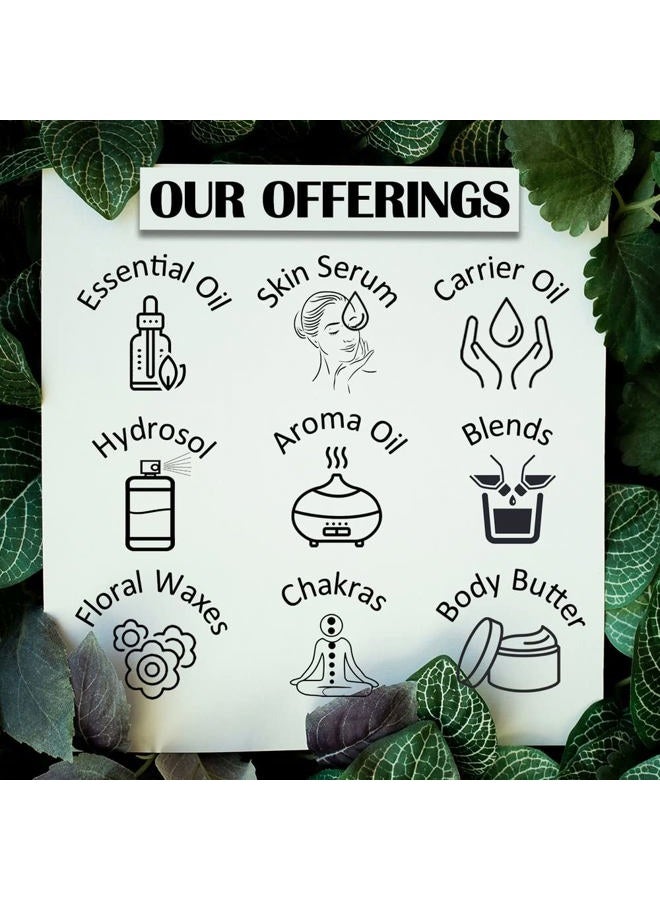 Deve Herbes Pure Tarragon Essential Oil (Artemisia Dracunculus) Steam Distilled 15ml (0.50 oz) - Image 4