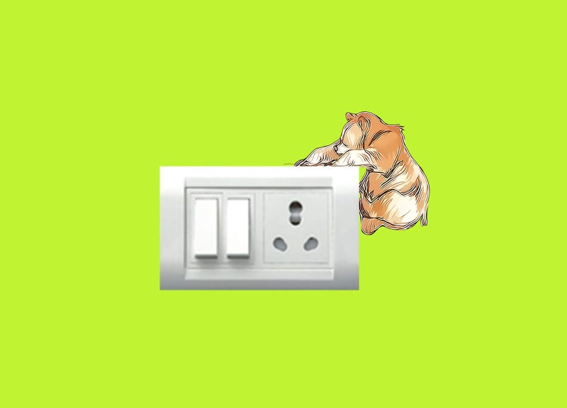 WallDesign Vinyl Cute Animals Switchboard Sticker - Set Of 12 (Multicolorself-Adhesive, Wall, 432 Mm) - Image 5