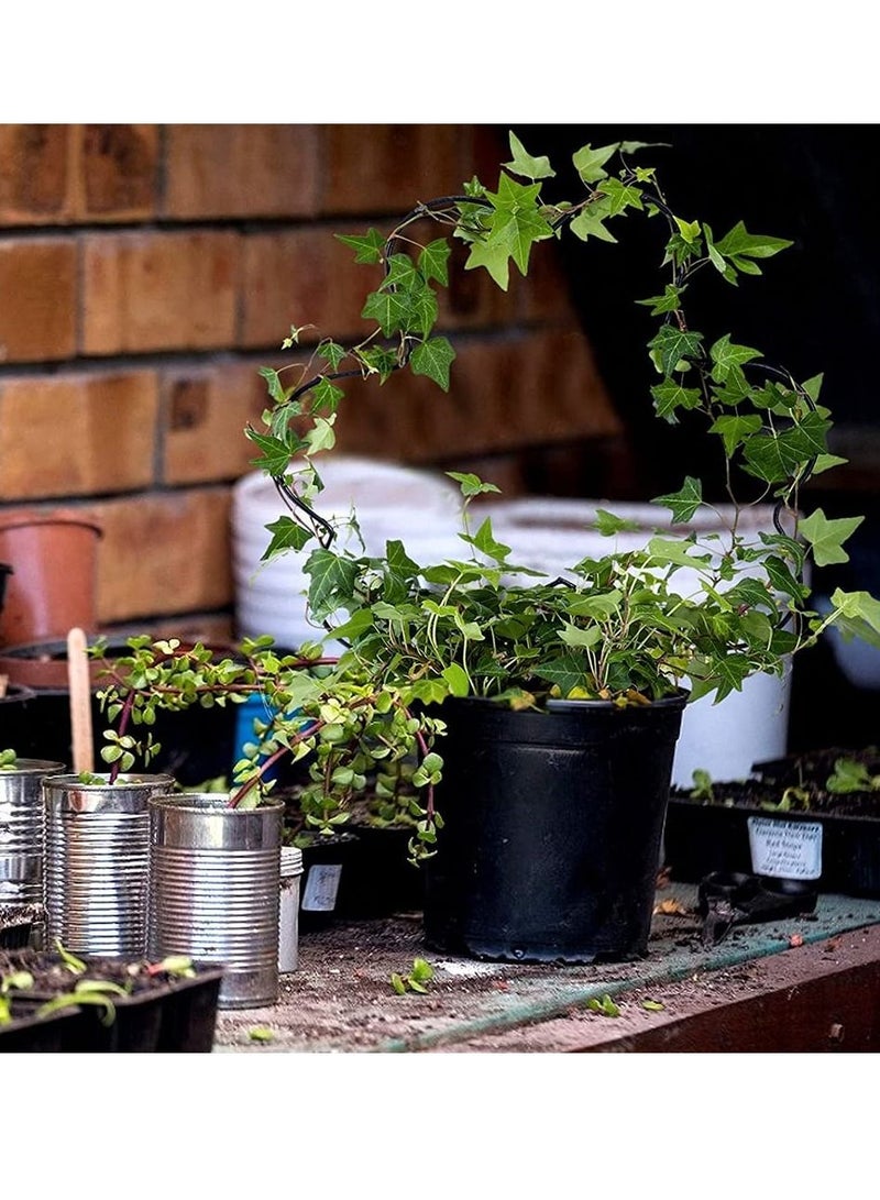 واي آند دي Iron Garden Trellis, 2 Pack Trellis for Climbing Plants, Vine Plant Metal Support Wire with Black Coating Decorative Panels Potted Stems Stalks Vines - Image 4