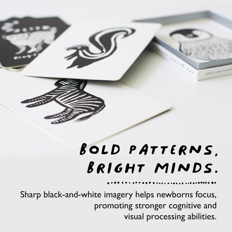 Wee Gallery Art Cards for Baby, Durable High Contrast Black and White Animal Flashcards for Newborns, Brain Development, Sensory Toys, Tummy Time Essentials for Infant and Toddler - Rainforest Animals - Image 4