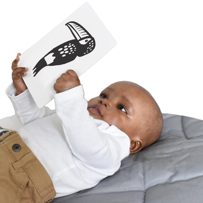 Wee Gallery Art Cards for Baby, Durable High Contrast Black and White Animal Flashcards for Newborns, Brain Development, Sensory Toys, Tummy Time Essentials for Infant and Toddler - Rainforest Animals - Image 1