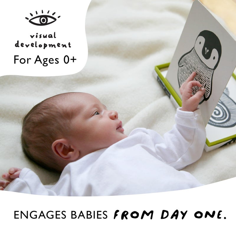 Wee Gallery Art Cards for Baby, Durable High Contrast Black and White Animal Flashcards for Newborns, Brain Development, Sensory Toys, Tummy Time Essentials for Infant and Toddler - Rainforest Animals - Image 3