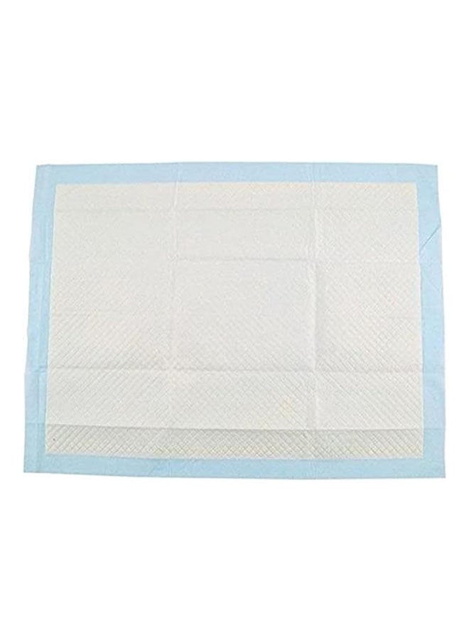 Golden Arrows Pets Pee Super Absorbent Pads 5 Layers Of Protection - 60x90 cm 20 PCS  - Image 1