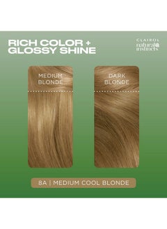 CLAIROL Clairol Natural Instincts Demi-Permanent Hair Dye, 8A Medium Cool Blonde Hair Color, Pack of 3  - Image 4