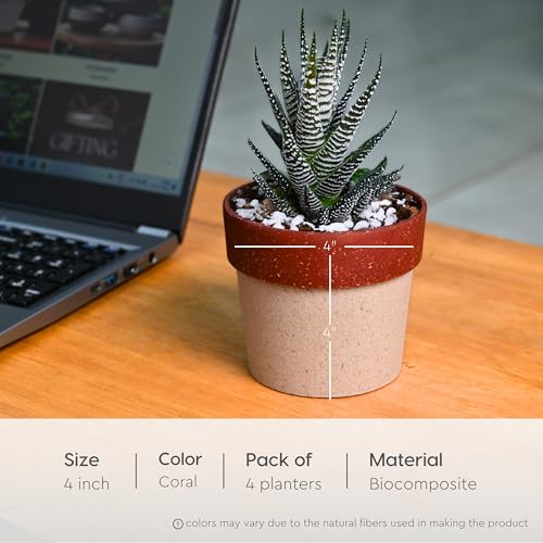 Eha Earth Friendly Ecopod Small Pots for Plant | 4 Inch, Pack of 4 | Table Top Planters | Bamboo Based and UV Protected | Pots for Indoor Plants for Home Decor, Outdoor, Balcony & Garden | Coral - Image 4