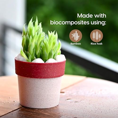 Eha Earth Friendly Ecopod Small Pots for Plant | 4 Inch, Pack of 4 | Table Top Planters | Bamboo Based and UV Protected | Pots for Indoor Plants for Home Decor, Outdoor, Balcony & Garden | Coral - Image 2