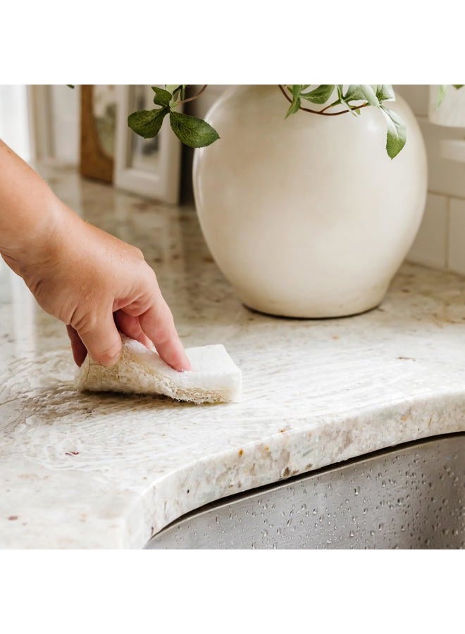 Full Circle Cleana Colada - Coconut Scrubber Sponges - 6pc - Image 2