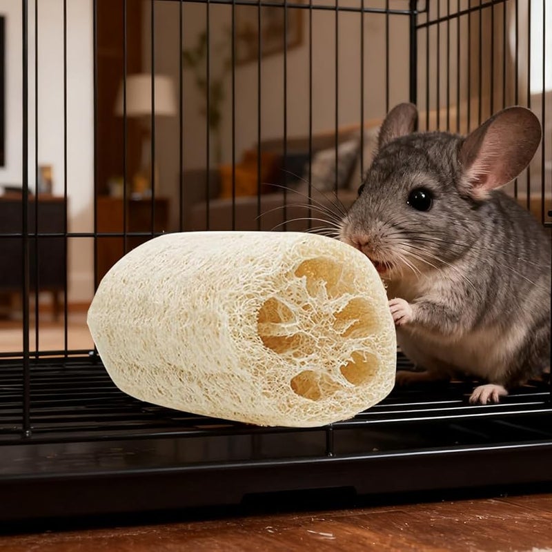 أعواد مضغ طبيعية من اللوفة 4 قطع علاجات للحيوانات الصغيرة للهامستر وخنازير غينيا والشنشيلة - Image 4