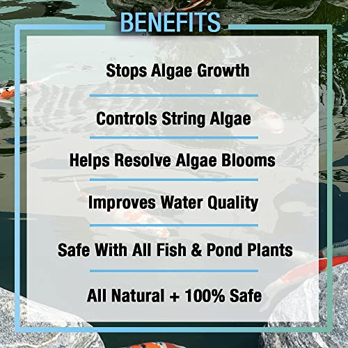 Microbe Lift MICROBE-LIFT ALGAGAL Algaway 5.4 Algae Control Treatment for Ponds and Water Gardens, Safe for Koi Fish, Goldfish, Plants, and Decorations, 1 Gallon - Image 3