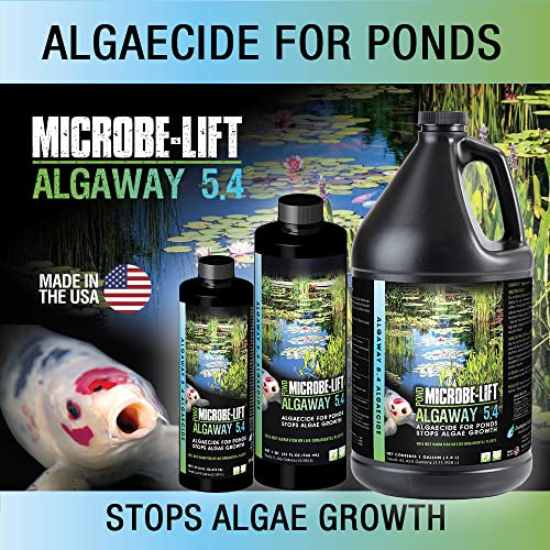 Microbe Lift MICROBE-LIFT ALGAGAL Algaway 5.4 Algae Control Treatment for Ponds and Water Gardens, Safe for Koi Fish, Goldfish, Plants, and Decorations, 1 Gallon - Image 2