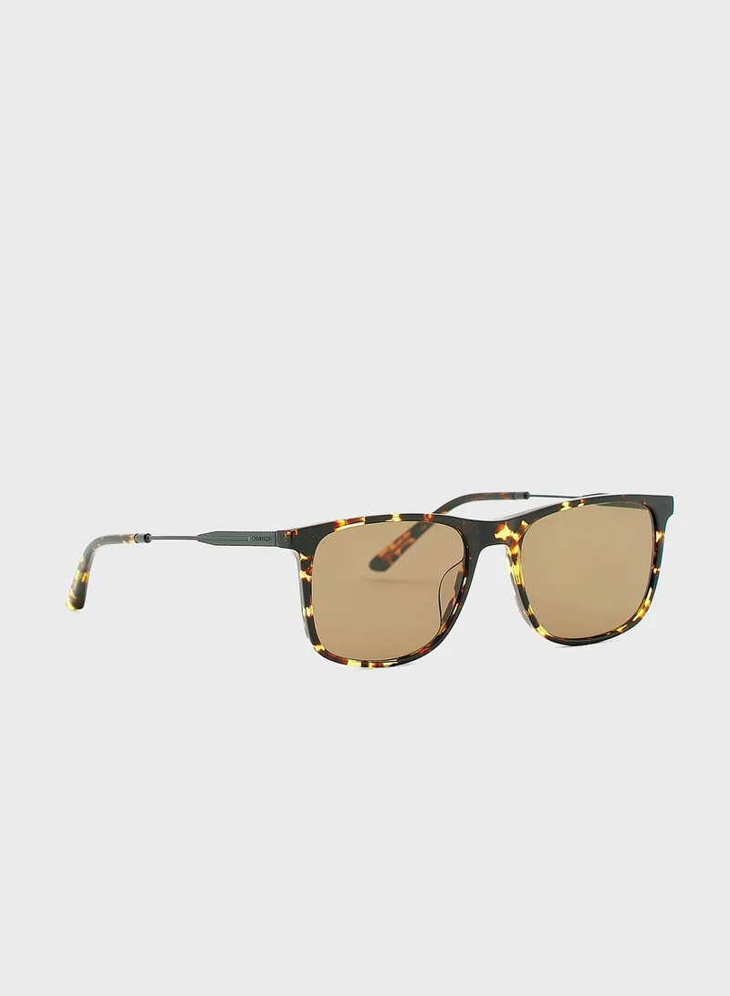 CALVIN KLEIN Aviator Sunglasses