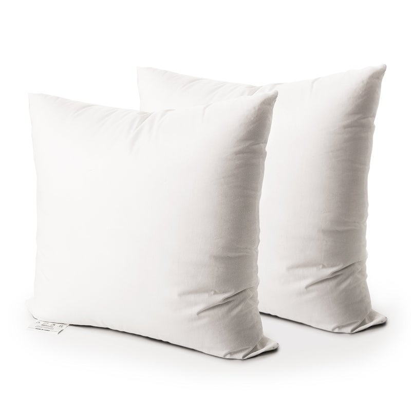EDOW Throw Pillow Insert Set of 2 Down Alternative Polyester Square Form Decorative Pillow CushionSham Stuffer White 22x22
