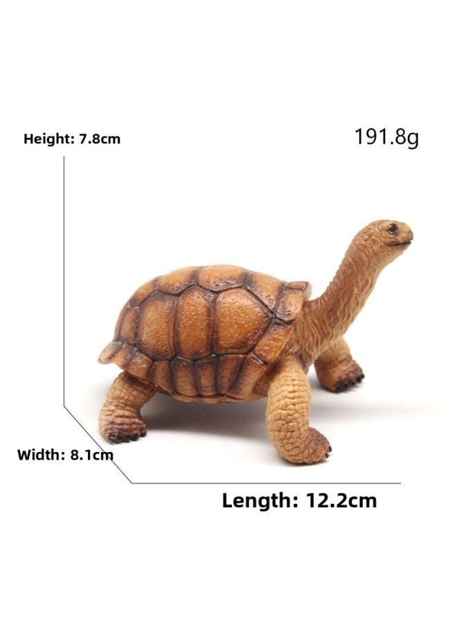 Animal Model Special For Teaching And Education Animal Model Kangaroo Elephant Lion Tiger Deer Ostrich Wolf-Color:4067B Brown Tortoise (191g)  - Image 1