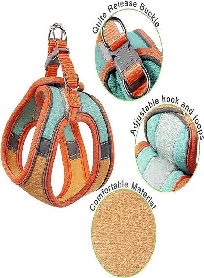 BITTZOOT Cat Harness and Lead Set, Escape Proof & Reflective Kitten Vest for Walking and Traveling, Step in Harnesses with Lightweight Soft Mesh （Medium - Image 5
