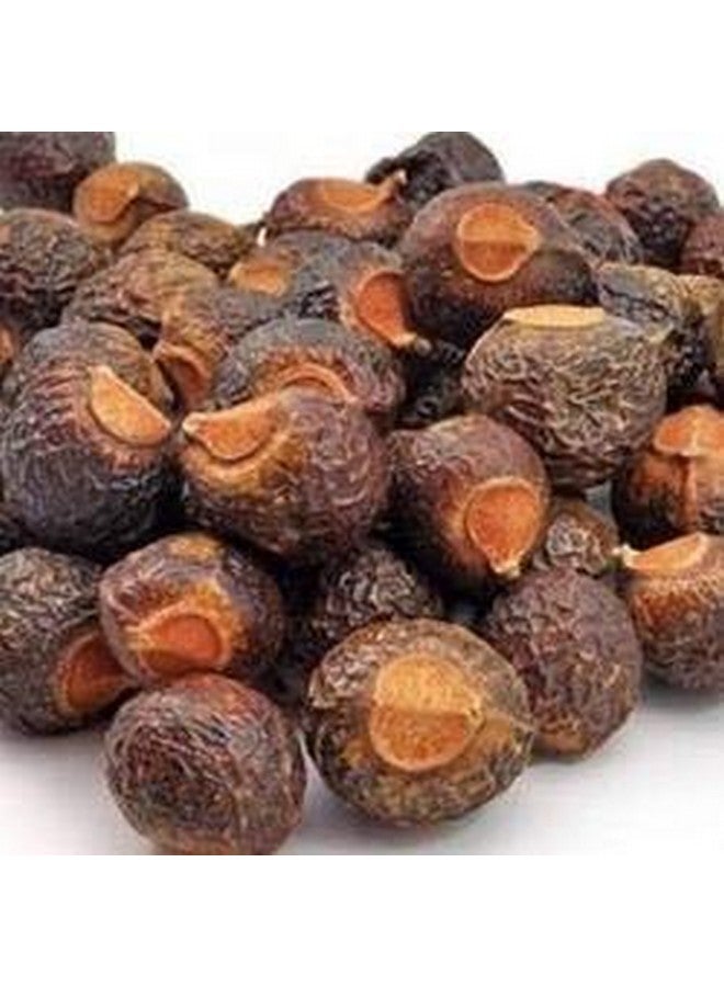 BSD Organics Cleany Big Soap Nuts (Reetha, Areetha, Kunkudukaialu) - 1 Kg - Image 2