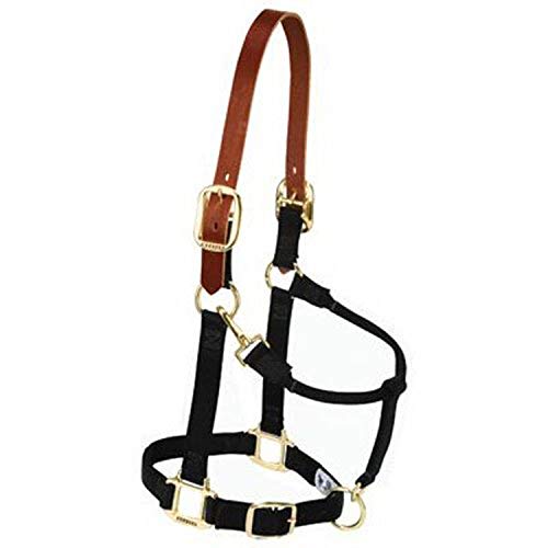 Weaver Leather 35-7034-BK 1" Sm Blk Snap Halter - Image 2