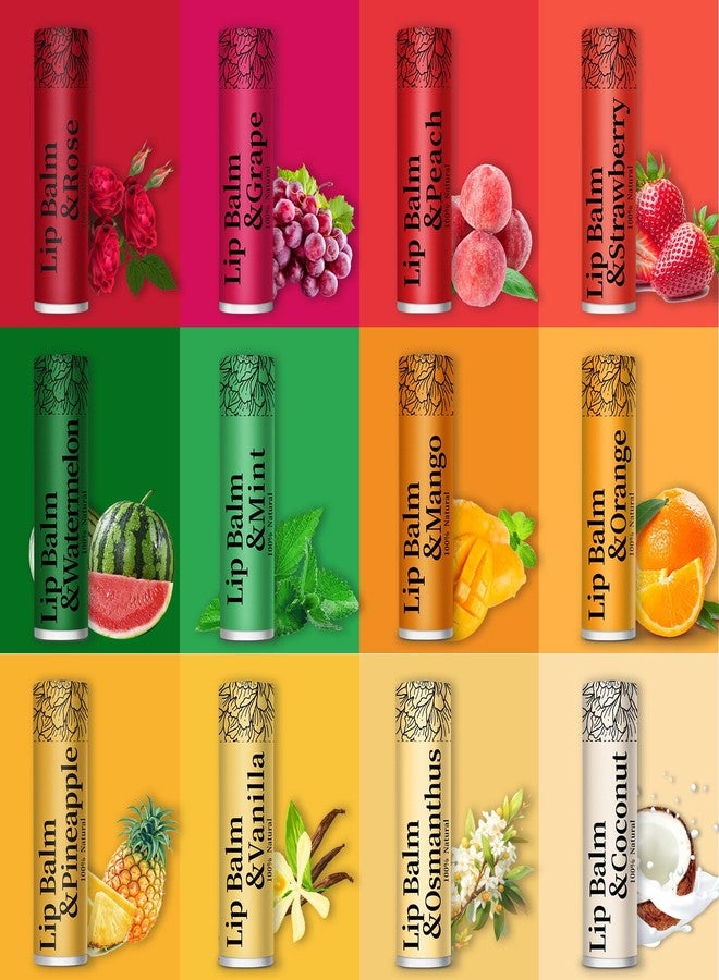 RBUGR 84 Pack of Lip Balm, 12 Flavored Lip Balms Natural Organic Vitamin E Lip Balm Pack for Dry Cracked Lips, Moisturising Lip Balm Bulk Gifts Stocking Stuffers Party Favors(4.2g/0.15oz) - Image 2