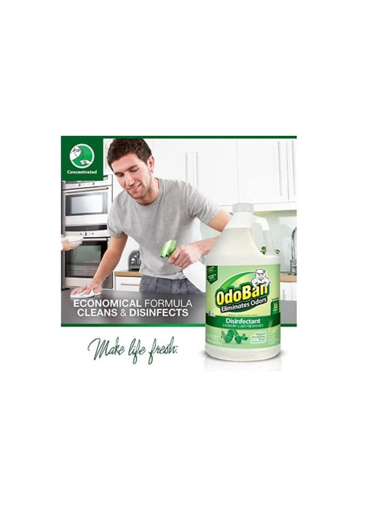 OdoBan Disinfectant Liquid 3.7 L Eucalyptus