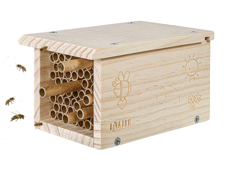 Rivajam Build a Bee House DIY Woodworking Project | Solitary Mason Bee House Nesting Box Wood Building Kit & Tools | Garden Arts & Crafts Activities for Toddler Boys & Girls Kids Teens Adults & Family - Image 1