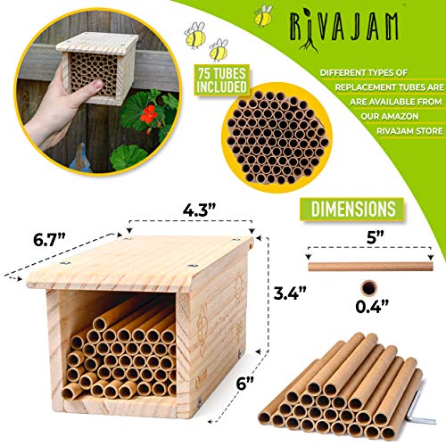 Rivajam Build a Bee House DIY Woodworking Project | Solitary Mason Bee House Nesting Box Wood Building Kit & Tools | Garden Arts & Crafts Activities for Toddler Boys & Girls Kids Teens Adults & Family - Image 3