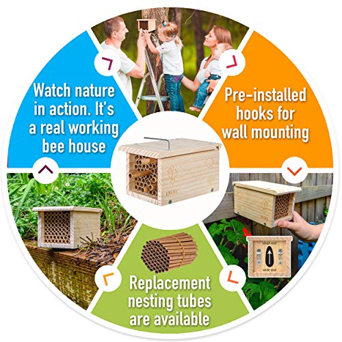 Rivajam Build a Bee House DIY Woodworking Project | Solitary Mason Bee House Nesting Box Wood Building Kit & Tools | Garden Arts & Crafts Activities for Toddler Boys & Girls Kids Teens Adults & Family - Image 5