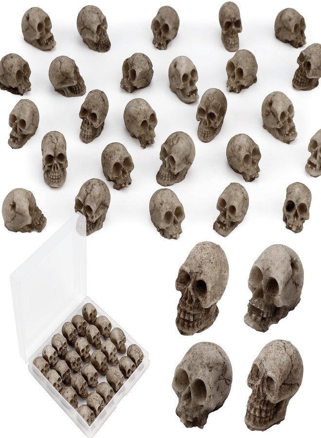 VICROIC 24 PCS Mini Skull Heads, Miniature Skeleton Heads Figurines, Tiny Resin Skulls for Crafts Halloween Party Micro Landscape Cake Topper Plants Outdoor Decoration - Image 1