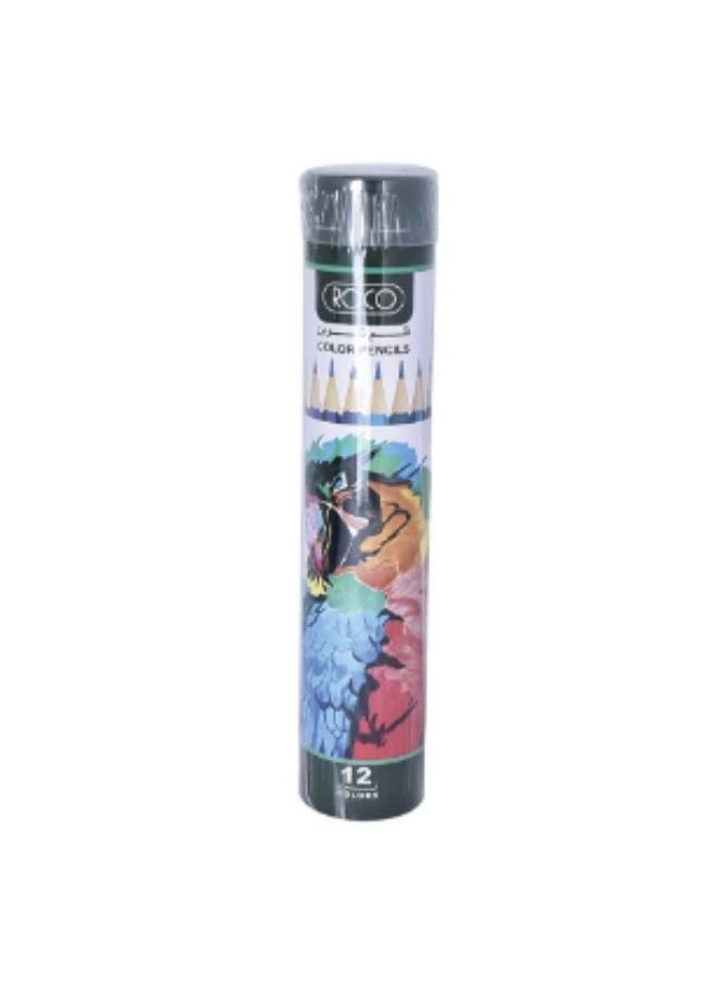 12-Piece Color Pencil Set Multicolour