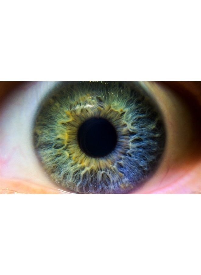Digital Nc - Nikon COOLPIX P900/P950 10x High Definition 2 Element Close-Up (Macro) Lens (67mm) - Image 1