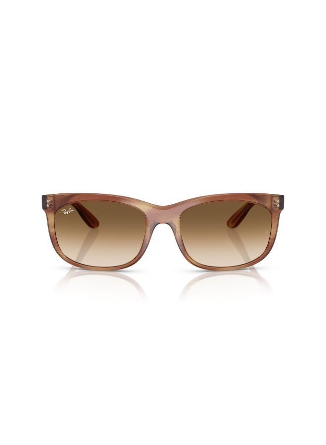 Ray-Ban 0Rb2389 Rectangular Sunglasses - Image 1