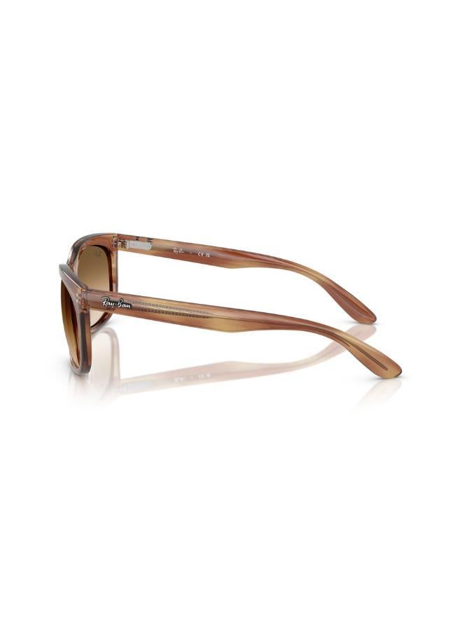 Ray-Ban 0Rb2389 Rectangular Sunglasses - Image 5