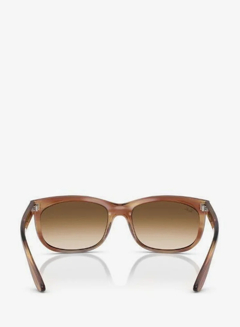 Ray-Ban 0Rb2389 Rectangular Sunglasses