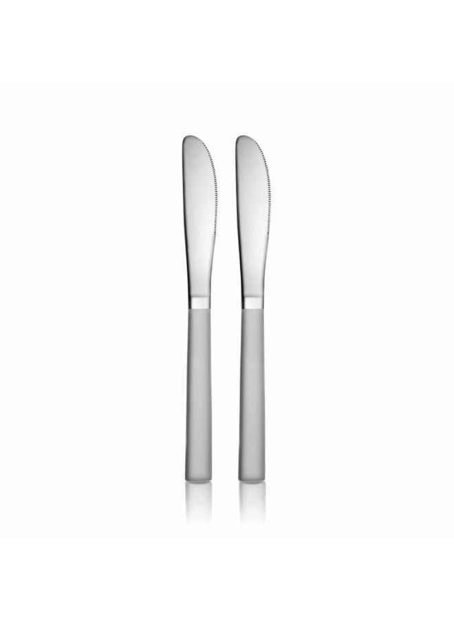 Shri & Sam Stainless Steel GSW Plain Dessert Knife, 2 Pieces - Image 1