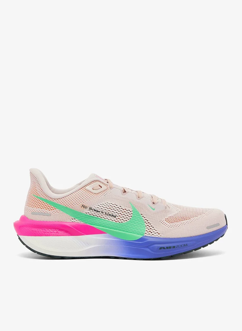 Air Zoom Pegasus 41 Ek