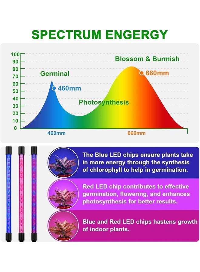 DUNISO Grow Lights For Indoor Plants，4 Head Led Grow Light，3/9/12h Timer,9 Dimmable Levels, 3 Lighting Mode﻿，Can Rotate 360 °，Suitable for Balconies, Greenhouses, Darkrooms, and Offices  - Image 3
