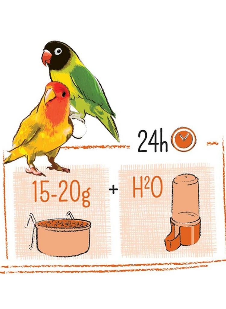 Witte Molen طعام طيور الحب 2 كجم - Image 3