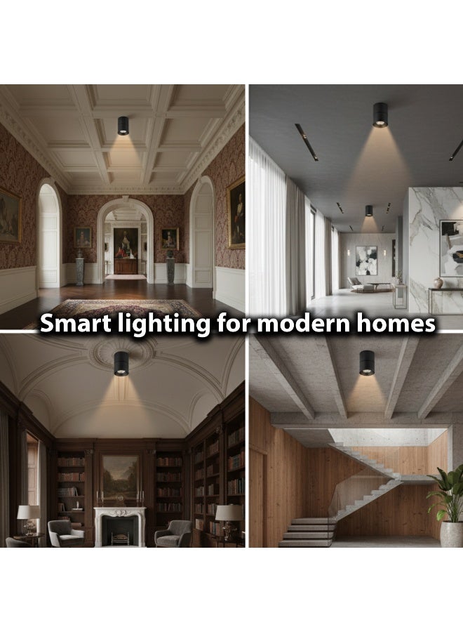 ALFRIDAY Surface Mount Ceiling Spotlight - 10W LED, 3000K Warm, Matte Black - Image 3