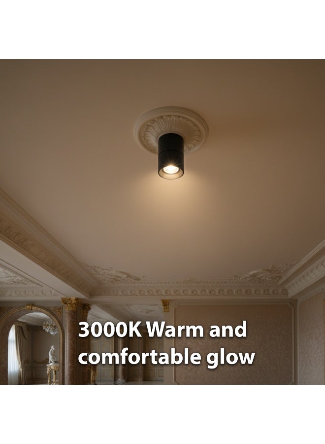 ALFRIDAY Surface Mount Ceiling Spotlight - 10W LED, 3000K Warm, Matte Black - Image 2