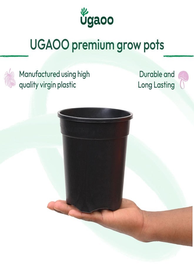 أوجاو أواني بلاستيكية من Ugaoo Garden للنباتات الداخلية (6 بوصة، لون أسود، مجموعة من 3 قطع) - Image 2