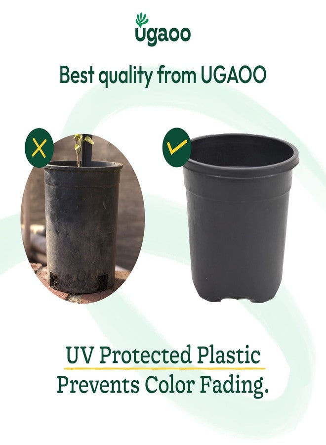 أوجاو أواني بلاستيكية من Ugaoo Garden للنباتات الداخلية (6 بوصة، لون أسود، مجموعة من 3 قطع) - Image 3