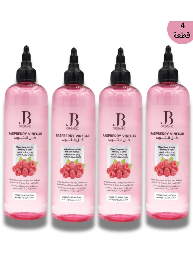 Jb ORGANIC Berry Vinegar Hair Strengthening Tonic, 4*400 ml (4PCS) - Image 1
