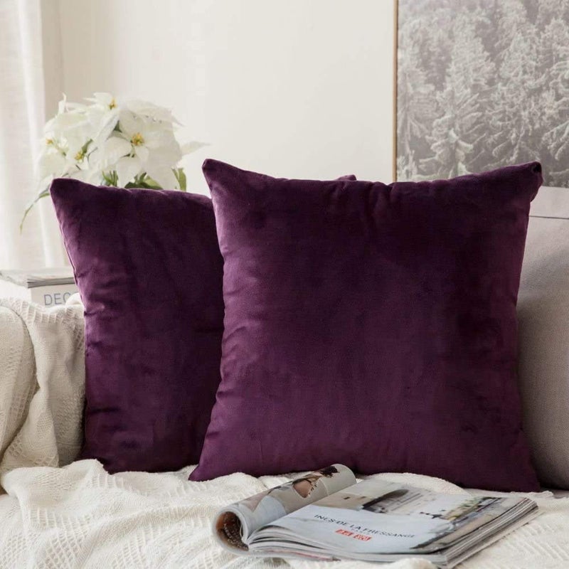 MIULEE Velvet Soft Soild Microfiber Decorative Square Pillow Case Throw Cushion Cover for Sofa Bedroom with Invisible Zipper 16x16 Inch 40x40cm Aubergine Set of 2 Lined
