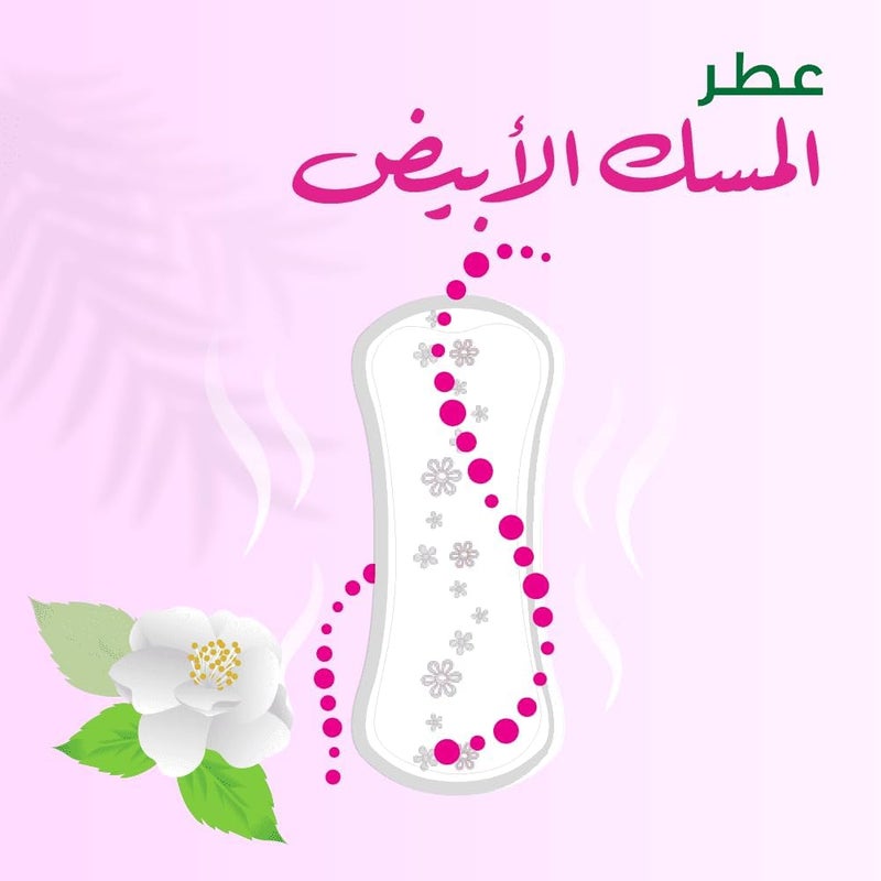 فريش دايز فريشدايز فوط اللباس الداخلي العادية المعطرة - Image 4