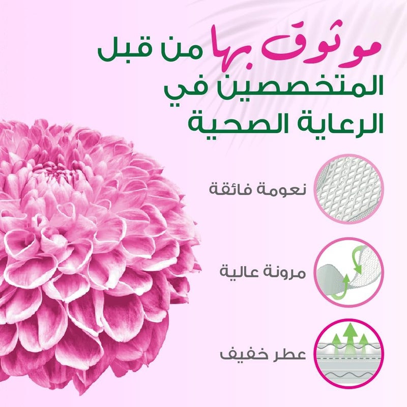 فريش دايز فريشدايز فوط اللباس الداخلي العادية المعطرة - Image 5
