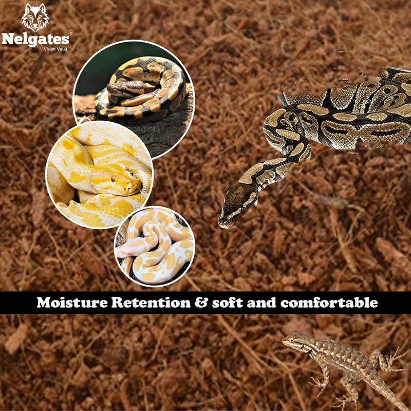 Nelgates Reptile Bedding 650g Organic Coco peat Block for Snake Habitat, Ball Python Terrarium, Turtle Tanks, Tortoise Enclosure - Image 5
