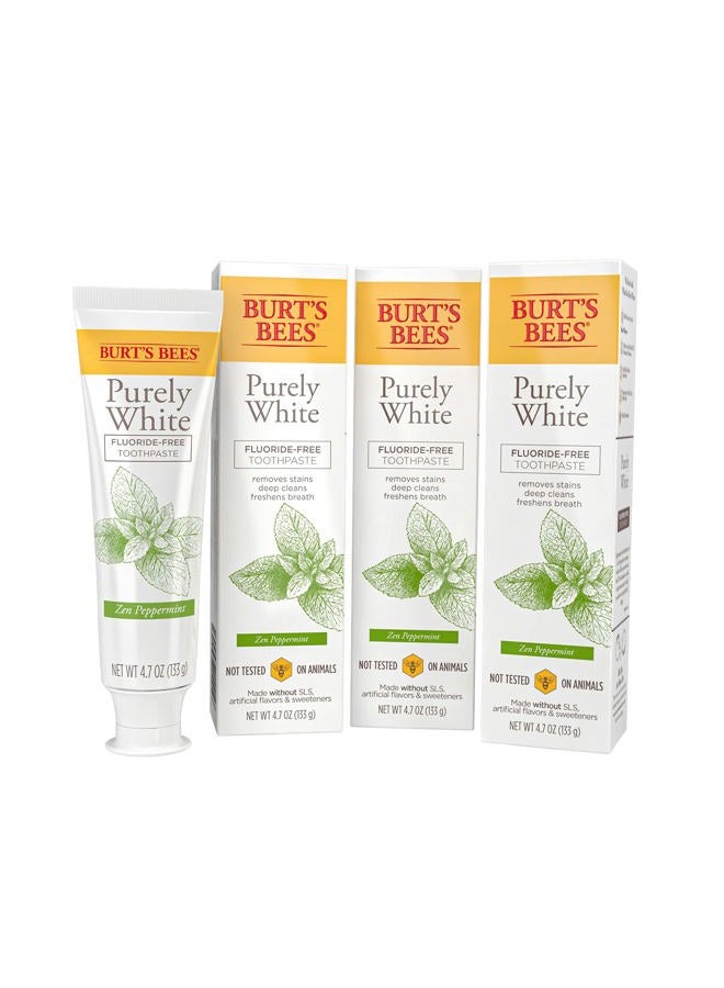 Burt's Bees Toothpaste, Natural Flavor, Fluoride Free Purely White, Zen Peppermint, 4.7oz 3 Count - Image 1